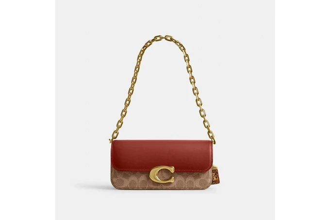 Idol Bag 23 In Signature Canvas With Snakeskin Detail