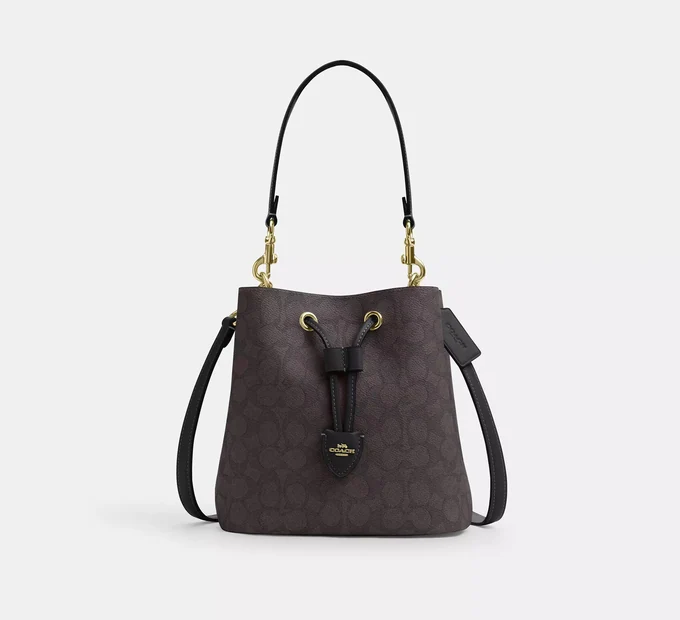 Сумка Coach Rowan Bucket Bag In Signature Canvas Gold/Walnut/Black